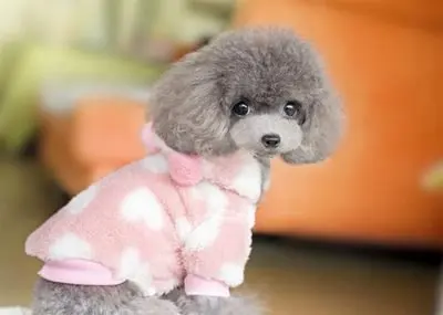 Pet Nutritional Supplement Tablet Advanced Hip and Joint Supplement for Dogs 1