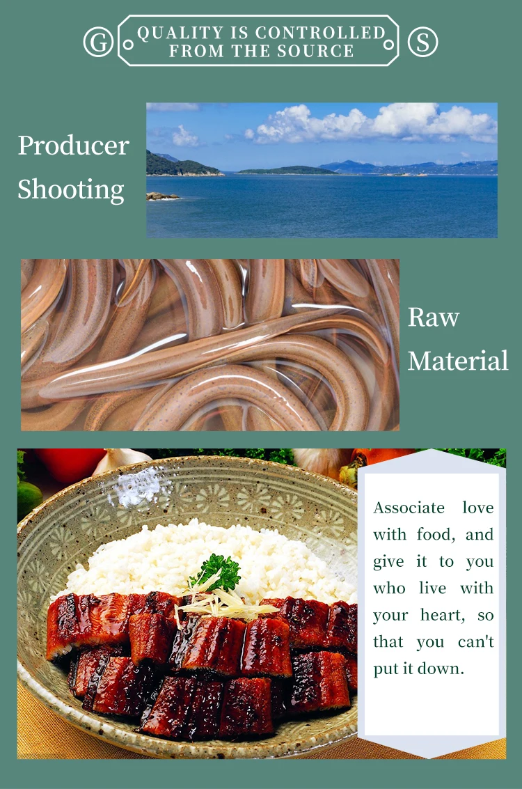 Frozen Roasted Eel Unagi Kabayaki Roasted Eel Frozen Eelunagi Tray