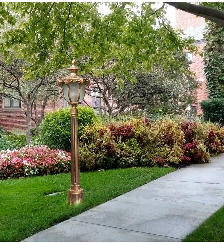 Scene image