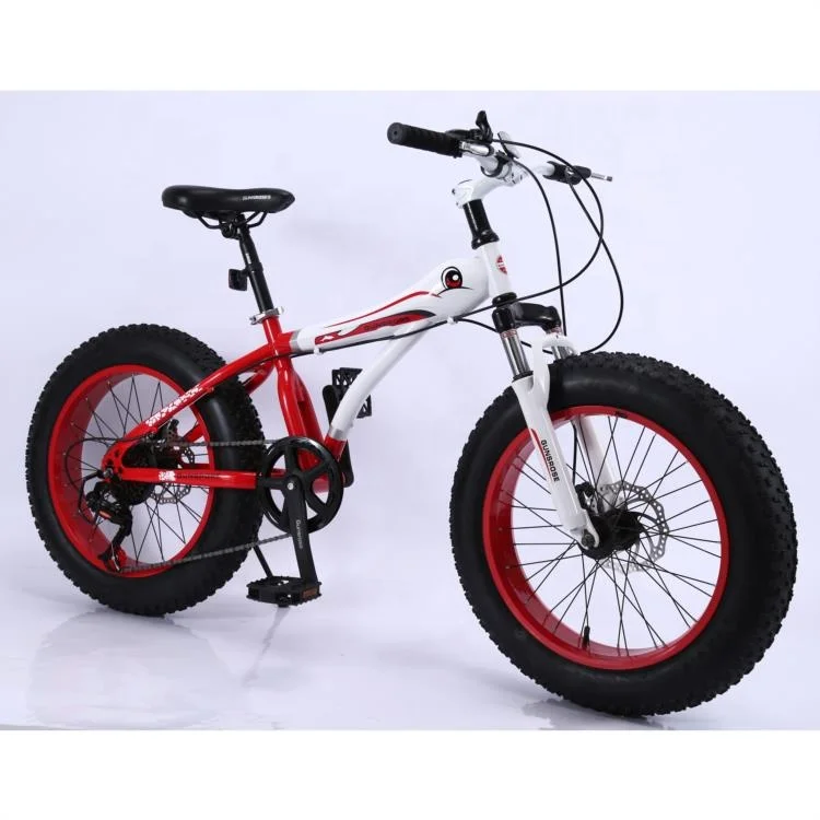 2023 Affordable 20 Inch Snow Bike with 21 Speed and Durable 