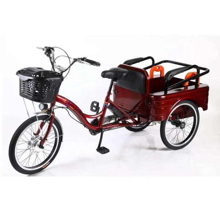 bike with cart