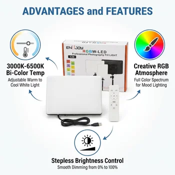 ENUJOY C29 RGB  PM-26 10 Inch Flat Panel RGB detail image