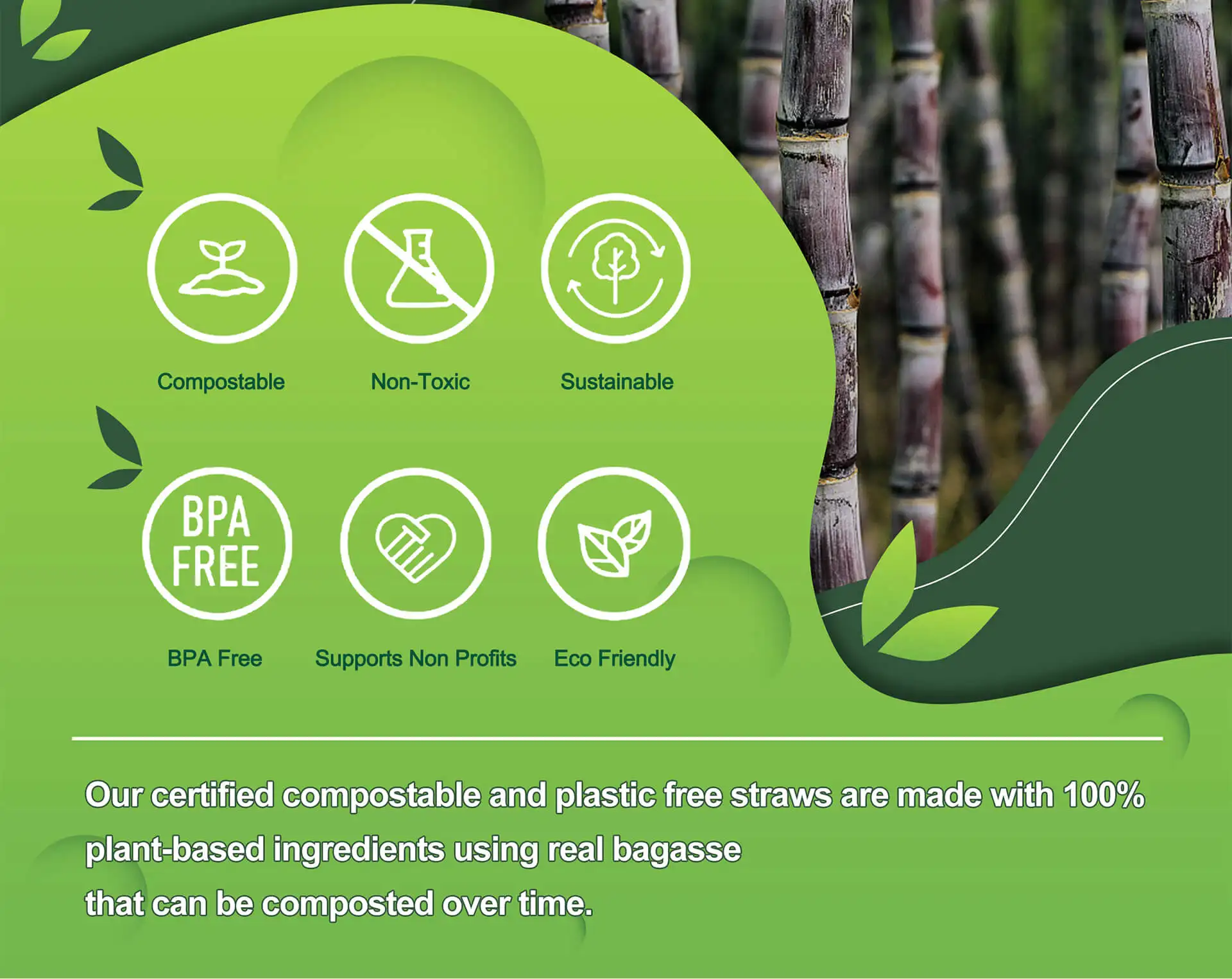 6mm 8mm 12mm Sugarcane Straws Biodegradable Plastic Free Eco-Friendly Compostable Drinking Smoothie Sugar Cane Bagasse Straw
