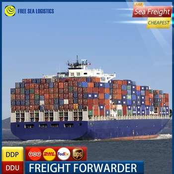 China Shipping forwarder logistics service from shenzhen guangzhou ningbo tianjing to NEW YORK USA