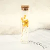 Souffle de bébé jaune