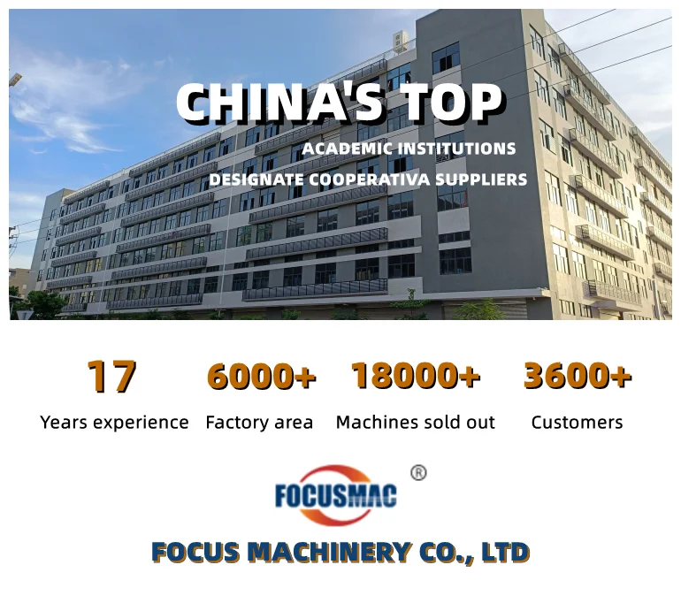 FM-3F3 PVC Inclined Mobile Chain Belt Conveyor System With Cover and Hopper Focus Machinery