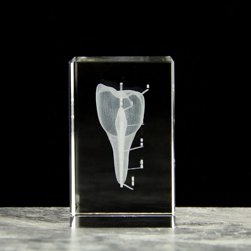 3D Crystal Teeth Engraved Cube Anatomy Model - Ideal Souvenir for