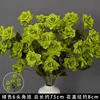 Branche de rose verte à 6 têtes