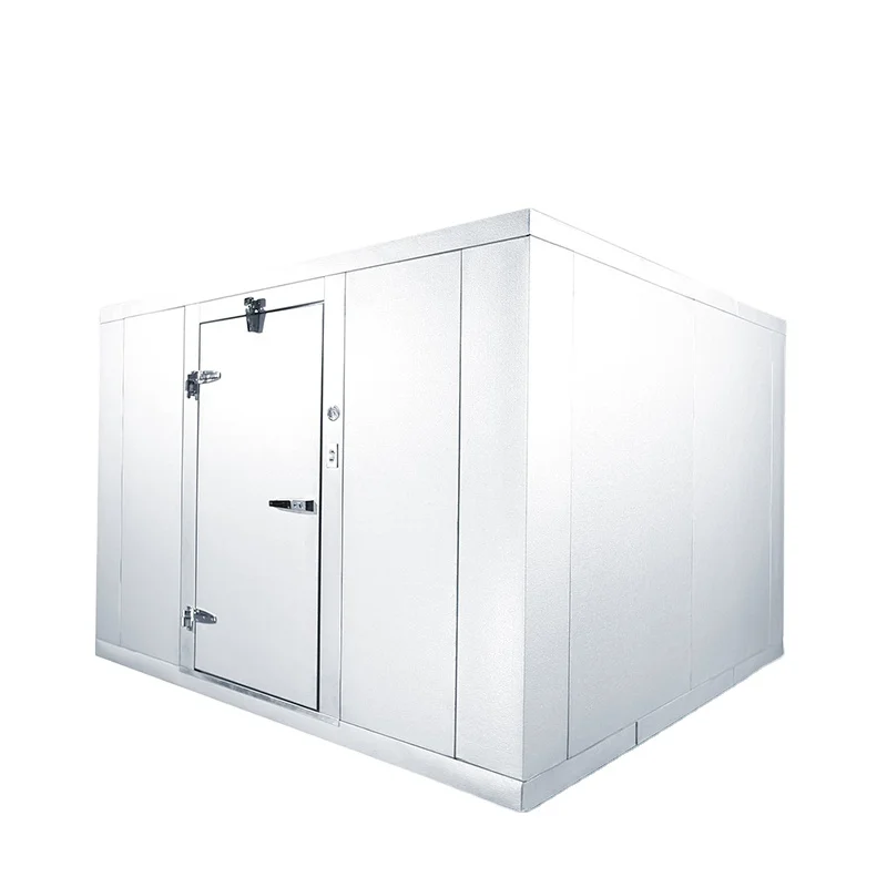 100 Cubic Meters Cold Storage/cold Room
