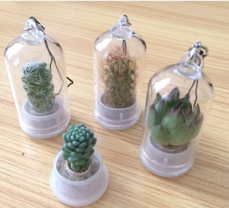 Мини-брелок для ключей с растениями