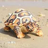 Simulated tortoise-brown-30 cm-130 g