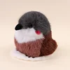 pajarito
