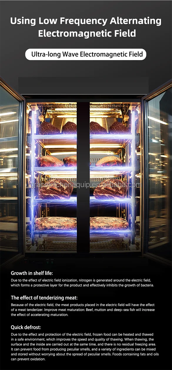 Grace Refrigerator Meat Curing Cheese Salami Fish Display Cooler Dry