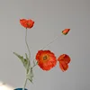 Arancione intenso