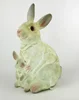 conejo