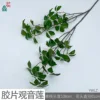Film Guanyin Lotus YWLZ Green