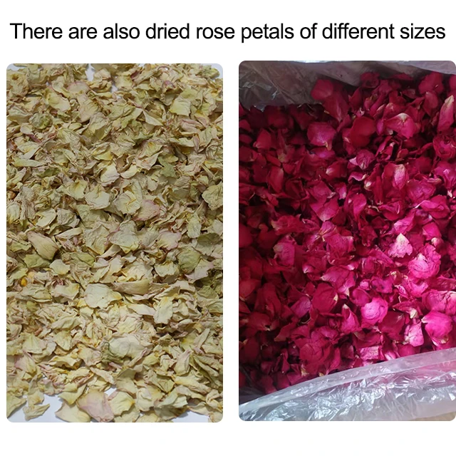 Wholesale Natural Dried Red Rose Petals For Bath Mix Small Rose Petals