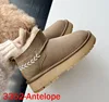 Grigio-3352-Antilope