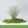 Roseau c pure herbe-princesse cosmos-mousse 100g