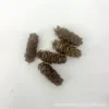 6×2cm