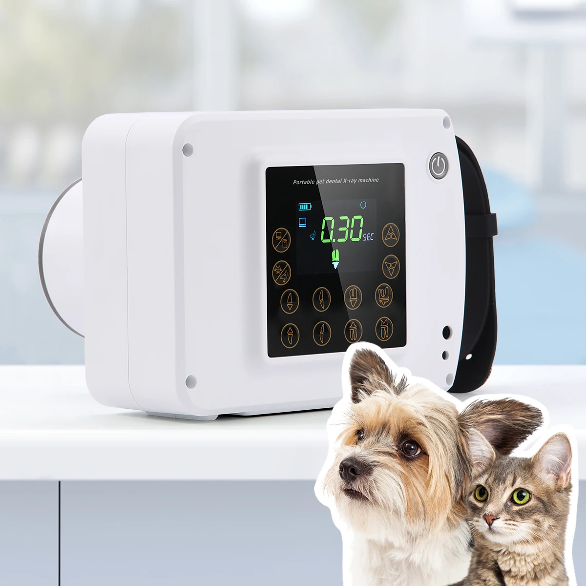 Pet Hospital Dental X Ray Unit for Cats and Dogs
