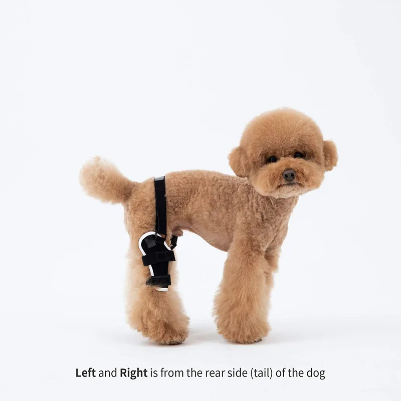 Dog Elbow Protector Canine Paw Compression Wraps Pet Knee Pad Dog Leg