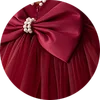 Borgogna