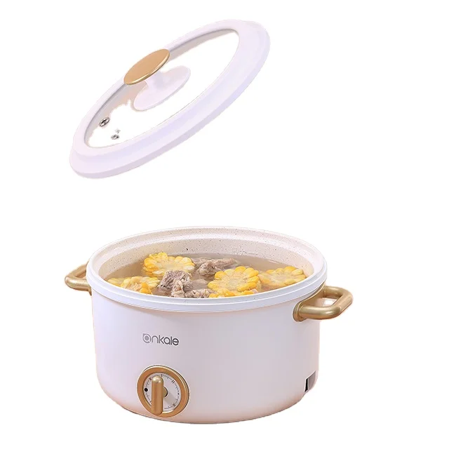 2020 New Product National Commercial multi -function Electric cooking pot the newest home appliances