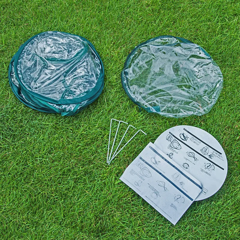 5275825868_300750979