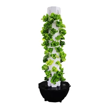 Large Aeroponic Hydroponics Vertical Farming Tower Hydroponic Greenhouse with Motor Ventilation