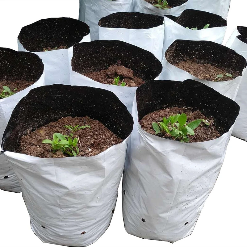 Agriculture Greenhouses Black and White Plastic Grow Bag 1 2 3 5 Gallon Vegetable Plant Greenhouse Reusable Hydroponic Grow Bags