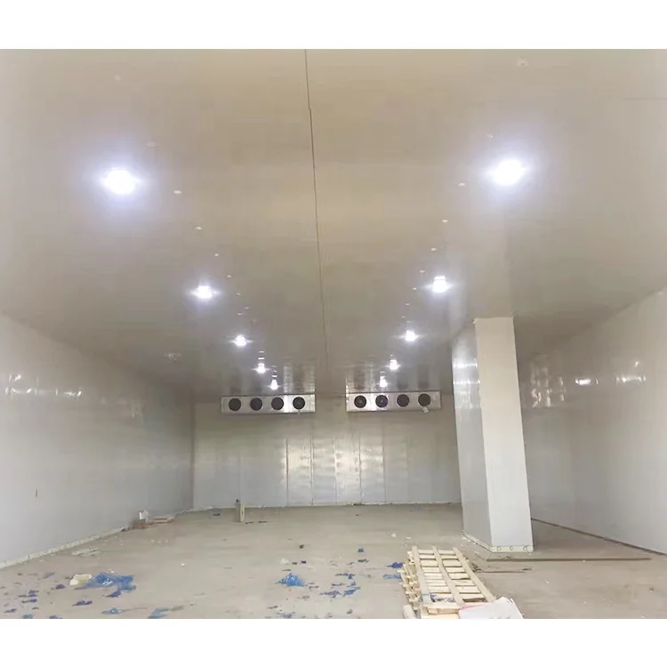 Refrigerator Project for Keeping Fruits and Vegetables Fresh Fruit Cold Storage Room Fruit and Vegetable Cold Room