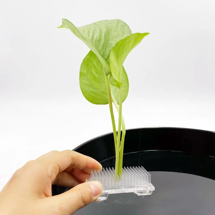 Wholesale Plastic Ikebana Pin Frog Ikebana Floral Frogs Flower Holder Ceramic Arranging Tool