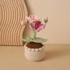 Bonsái de árbol de tung de color rosa (maceta cilíndrica grande de hilo)