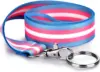 transgender lanyard