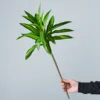 Green Bamboo Shoots - Single Stem