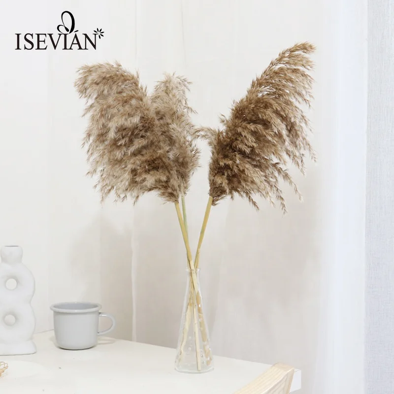 Isevianスモールタイプパンパスウェディングブラウンナチュラルパンパスドライフラワー Buy 安いドライフラワー バルクドライフラワー 装飾の結婚式の花 Product On Alibaba Com