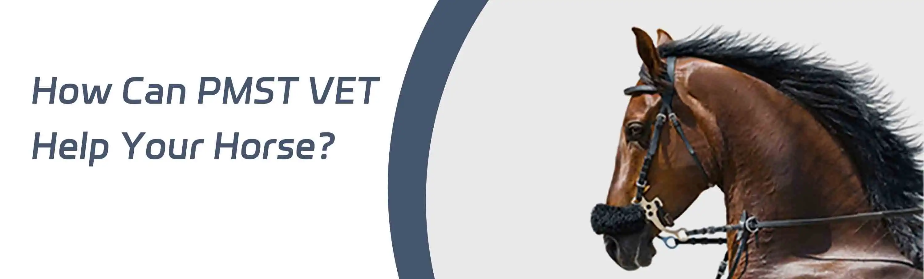 Latest Electro Wave Therapy Machine For Horses Pemf Loop Pain Reduction