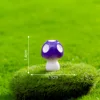 mushroom 07