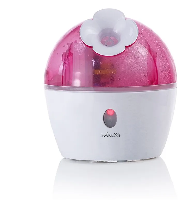 Face Steamer