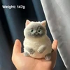 Little Silver Cat