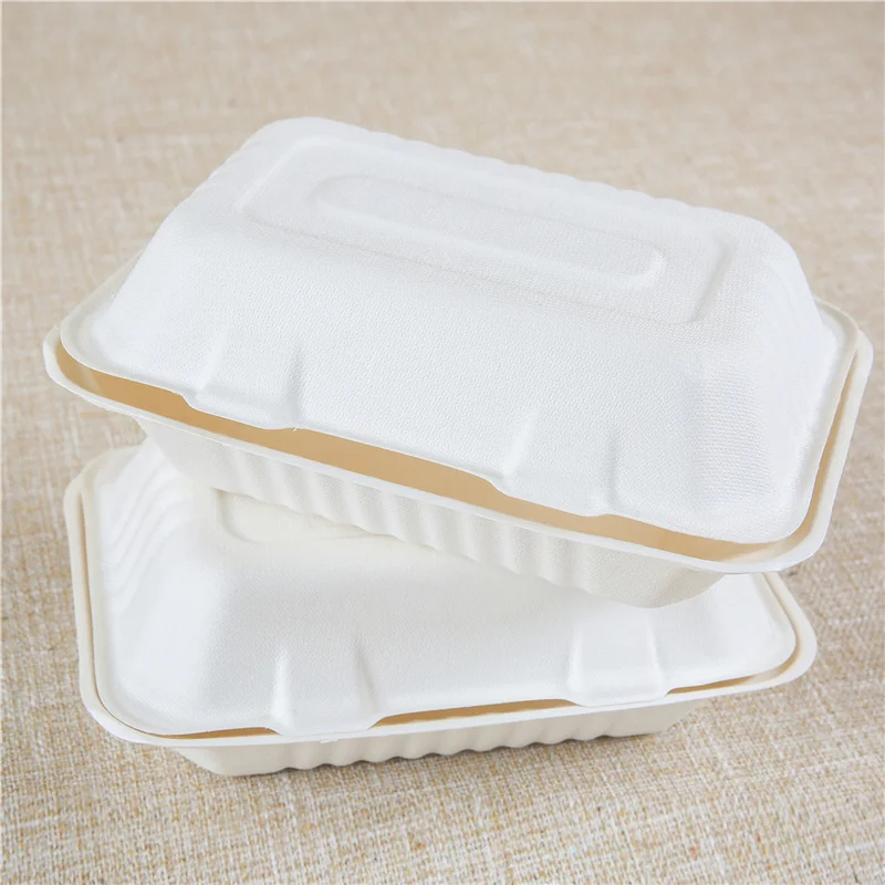 Food Containers with Lids 2 Piece Sugarcane Restaurant Container with Compartments 9x9 in