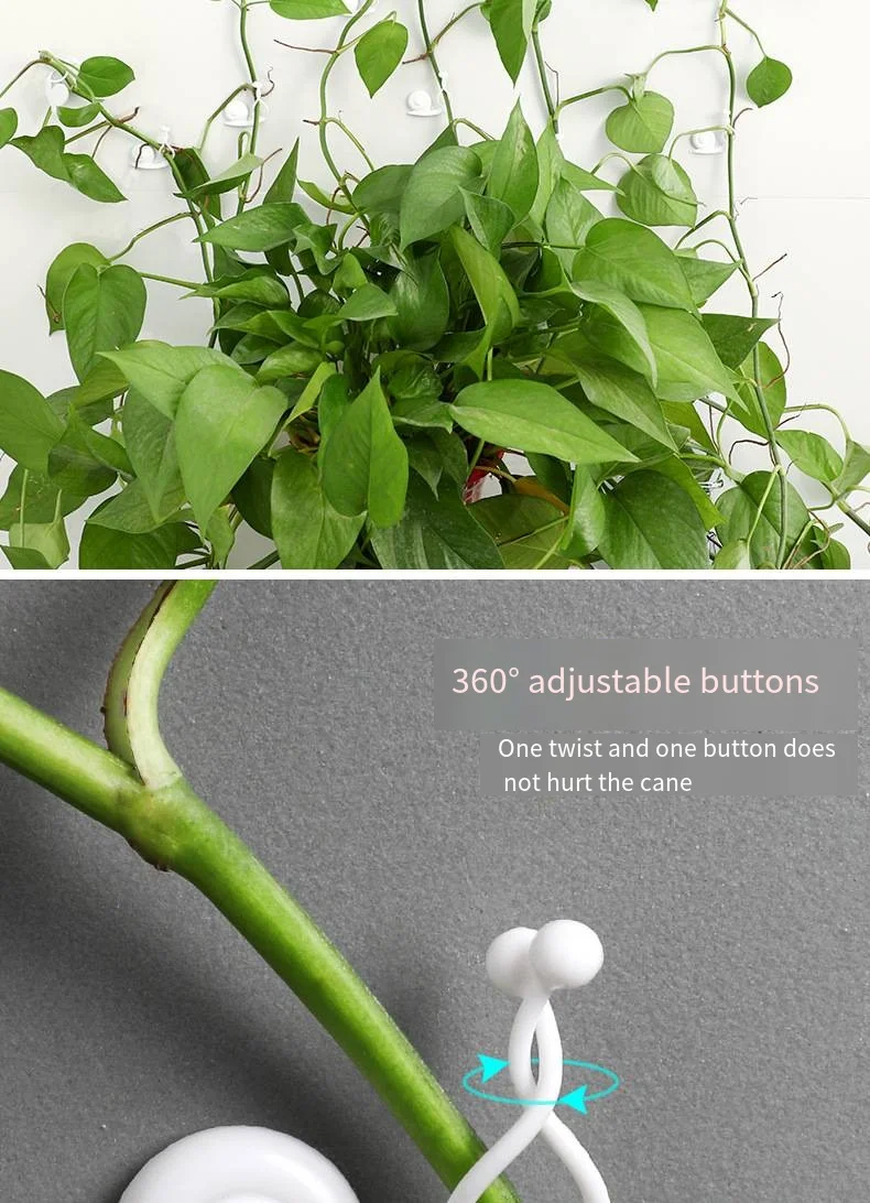 Green plant climbing clamp no trace card does not hurt the wall hook strong adhesive climbing cane details