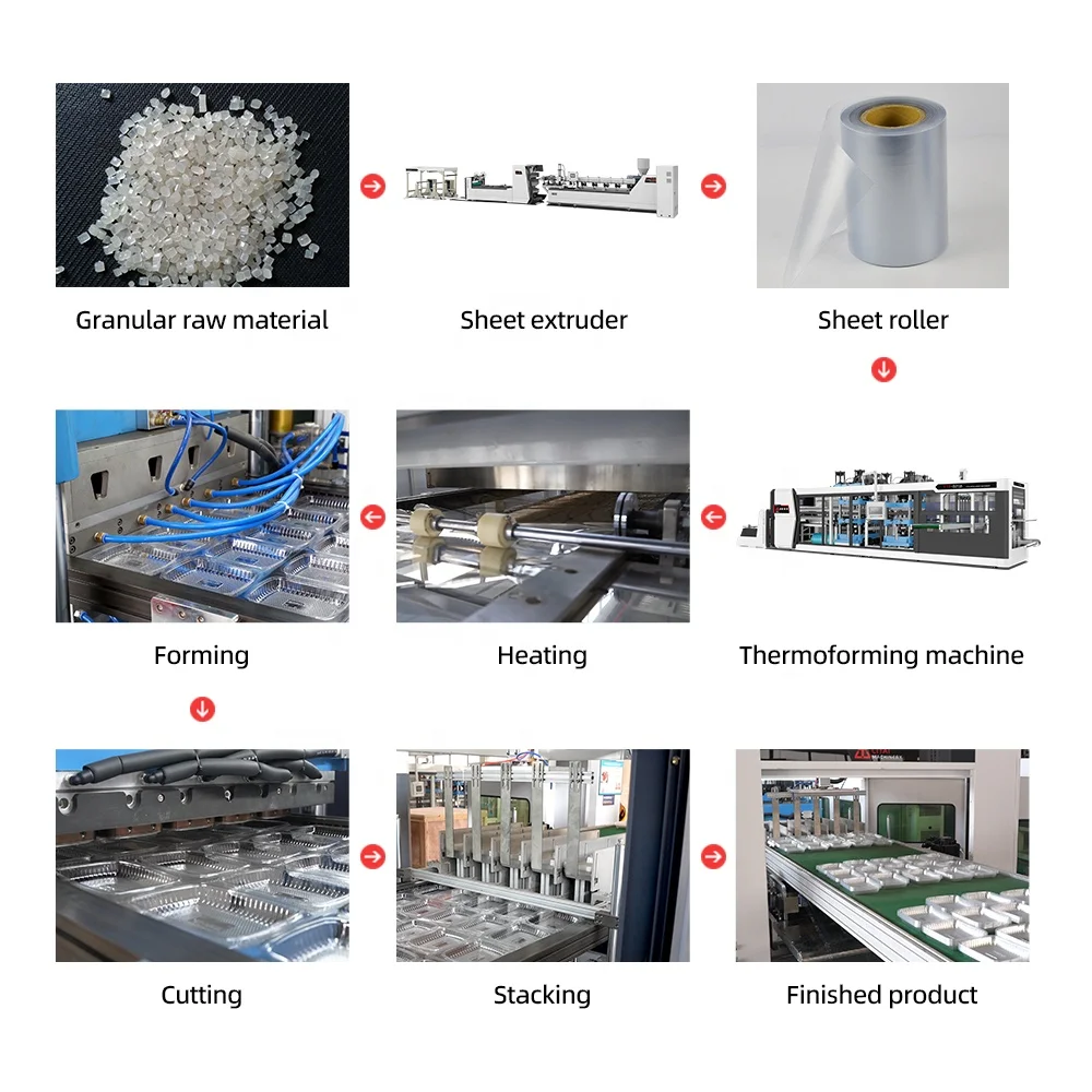 Thermoforming Machine for Making Chocolate Pp Tray Food Containers