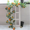Single Orange
