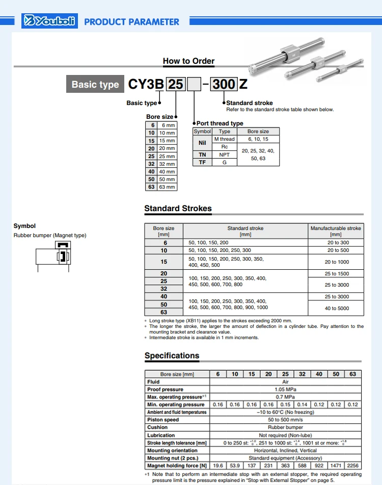 cy3b_03.jpg