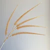 Cattail SPIKE 89cm