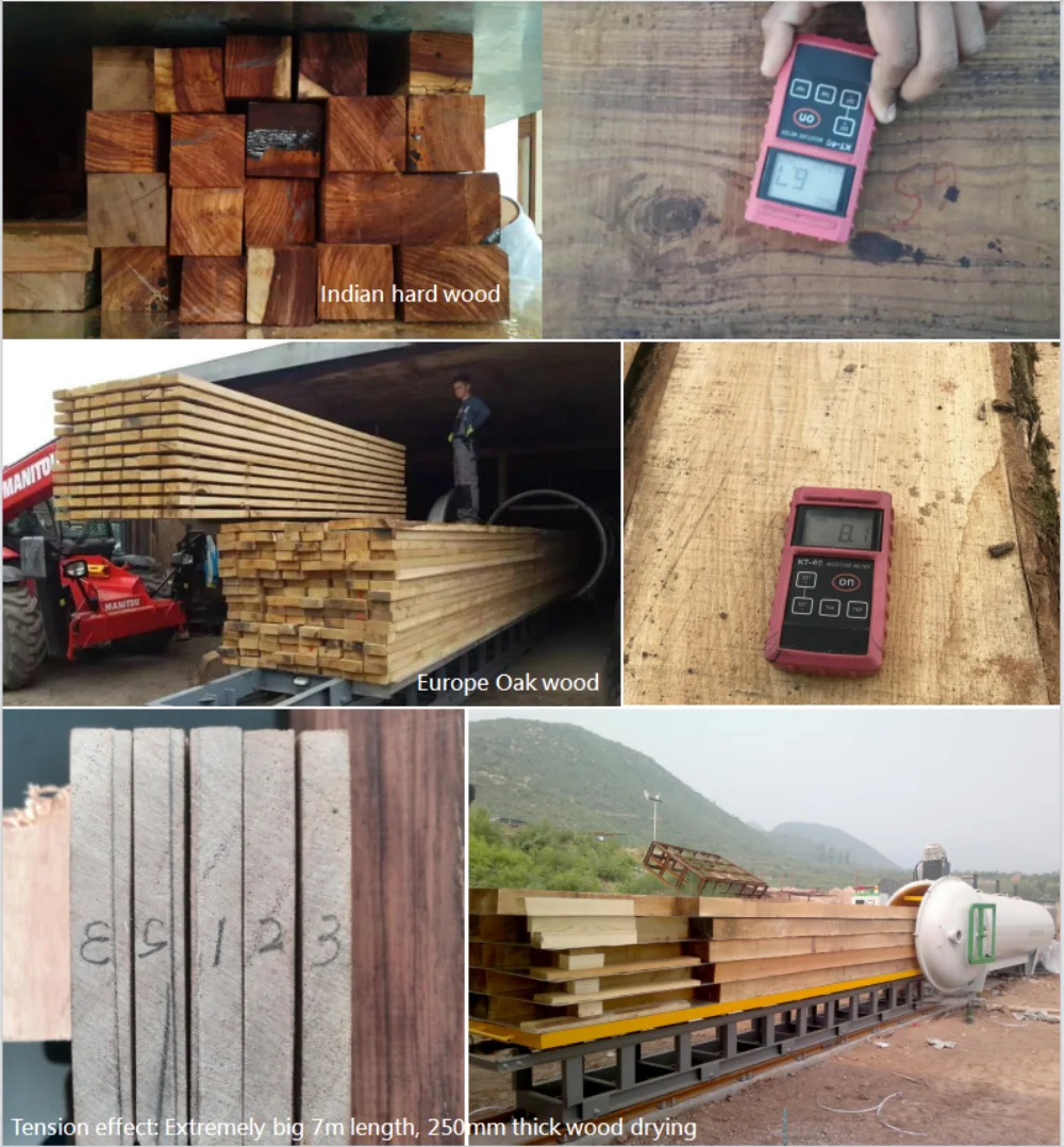 Saga Hf Vacuum Drying Hard Wood Kiln Drying Equipment With Competitive