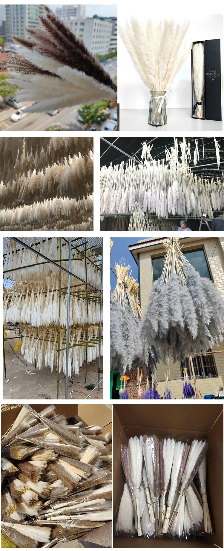 product hot sell large artificial silk natural dried pampas grass white dried long natural flower small fluffy pampas grass bouquet-60