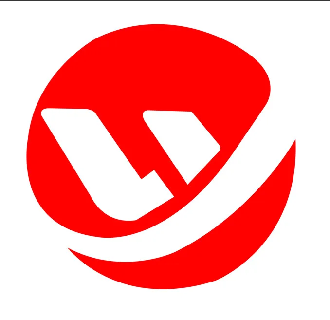 HONGKONG WUYI APPAREL LIMITED